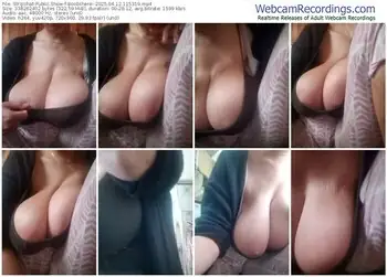 stripchat-boobshere--04-12-2025-11-53-19