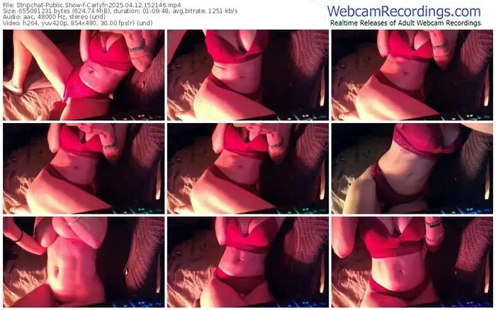 stripchat-carlyfr-04-12-2025-15-21-46