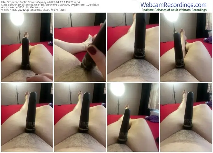 stripchat-ceyceys-04-12-2025-14-37-23