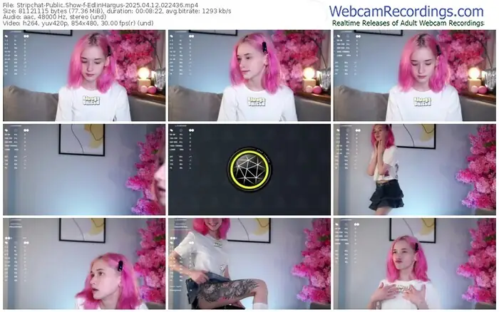 stripchat-edlinhargus-04-12-2025-02-24-36