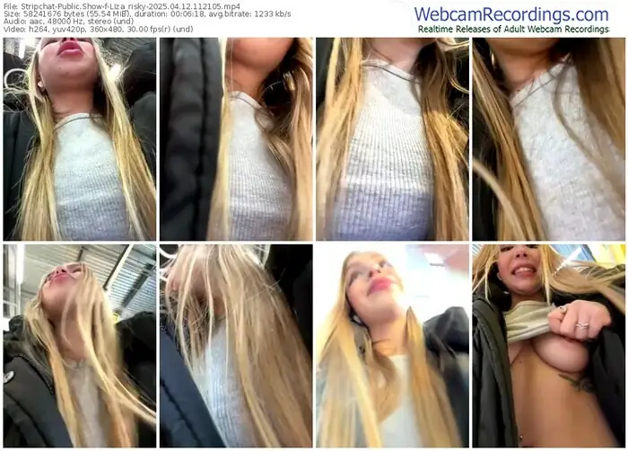 stripchat-liza_risky-04-12-2025-11-21-05