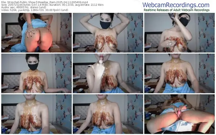 stripchat-meadow_rain-04-12-2025-09-54-09