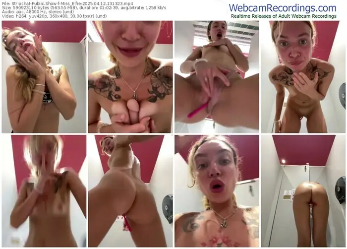 stripchat-miss_elfie-04-12-2025-13-13-23