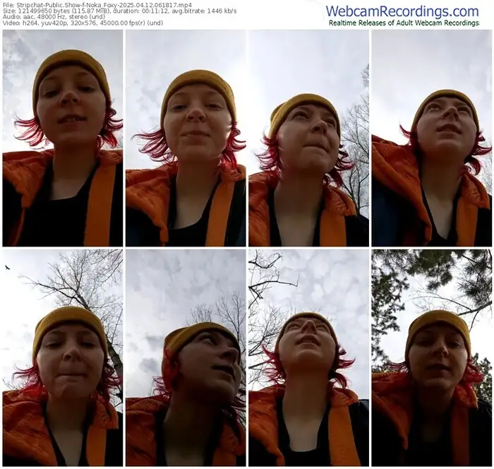 stripchat-noka_foxy-04-12-2025-06-18-17