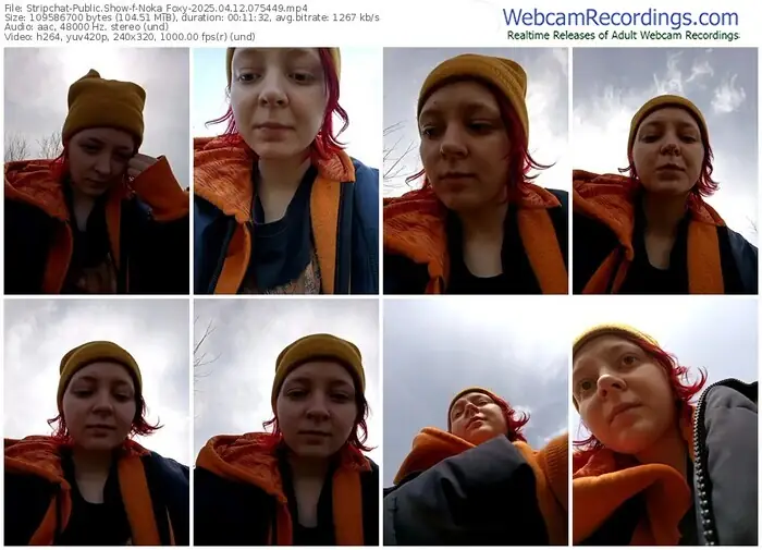 stripchat-noka_foxy-04-12-2025-07-54-49