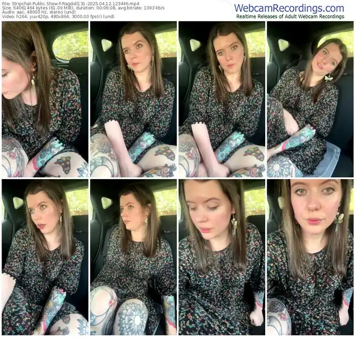 stripchat-ragdoll131-04-12-2025-12-34-46