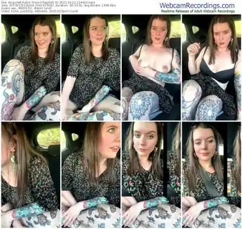 stripchat-ragdoll131-04-12-2025-12-44-20