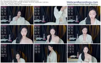 stripchat-___biubiu-04-12-2025-09-57-46