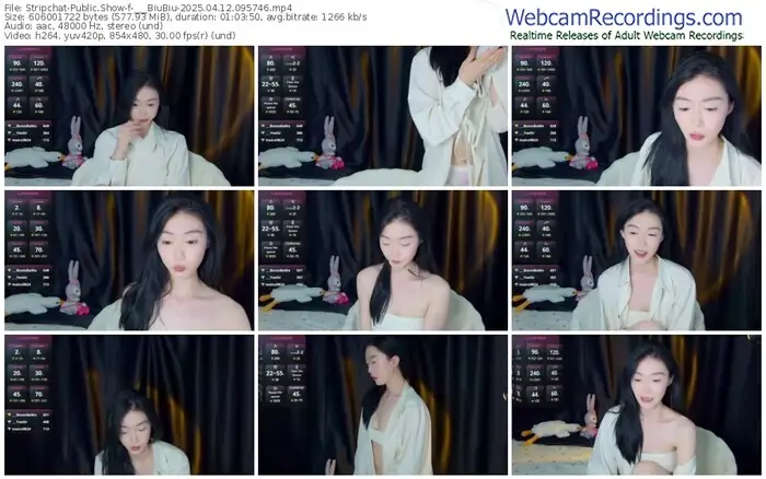 stripchat-___biubiu-04-12-2025-09-57-46