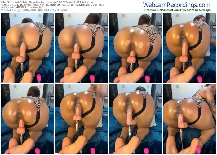 stripchat-antonelaswete02-04-12-2025-01-13-41