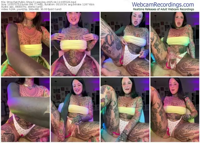 stripchat-caseykey-04-12-2025-03-55-24