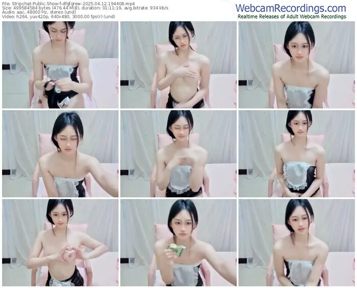 stripchat-dfgfgrew-04-12-2025-19-44-08