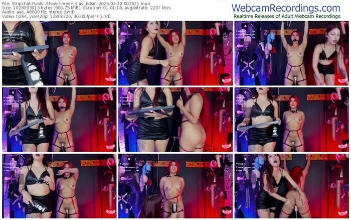 stripchat-moon_slav_bdsm-04-12-2025-00-35-11