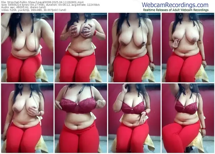 stripchat-payal9038-04-12-2025-06-28-01