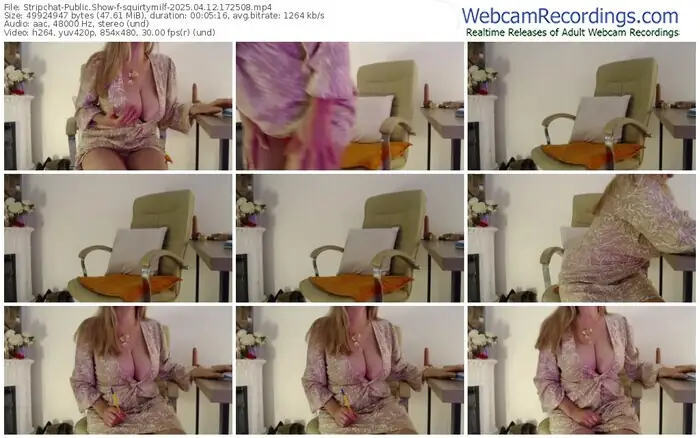 stripchat-squirtymilf-04-12-2025-17-25-08