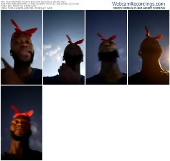 stripchat-bull_gee-04-12-2025-16-19-33