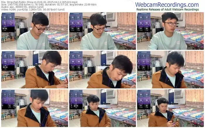 stripchat-dirk-61-04-12-2025-00-52-22