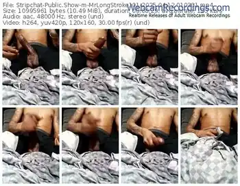 stripchat-mrlongstroke101-04-12-2025-01-03-31