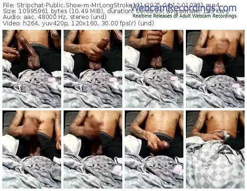 stripchat-mrlongstroke101-04-12-2025-01-03-31