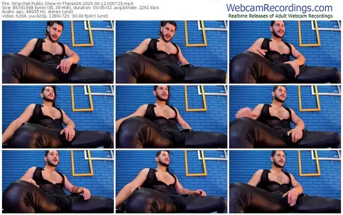stripchat-theian26-04-12-2025-00-07-23
