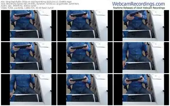 stripchat-dutchpornking-04-12-2025-15-48-50