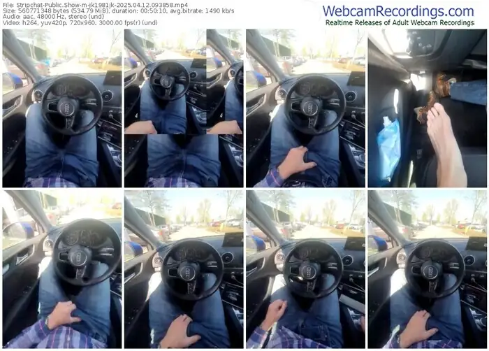 stripchat-jk1981jk-04-12-2025-09-38-58