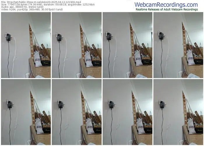 stripchat-seloloko20-04-12-2025-12-19-06