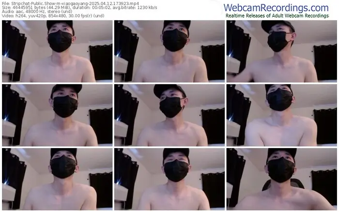 stripchat-xiaogaoyang-04-12-2025-17-39-23