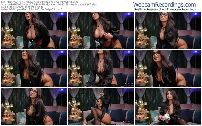 stripchat-ellisskyler-04-13-2025-20-48-51