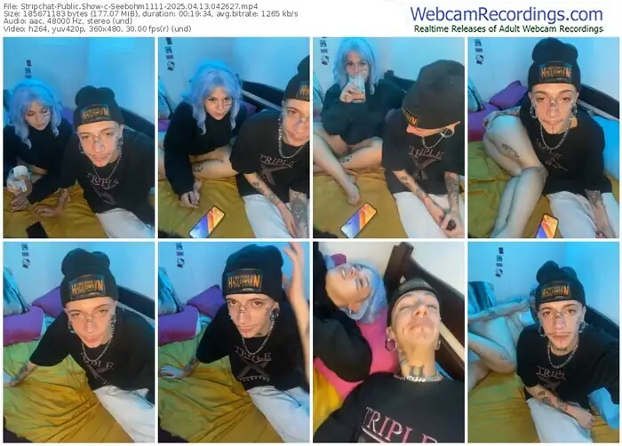 stripchat-seebohm1111-04-13-2025-04-26-27