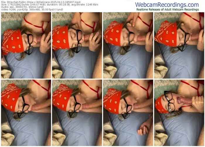 stripchat-willegrace-04-13-2025-18-59-37