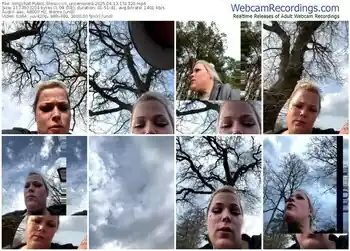 stripchat-cc_uncensored-04-13-2025-15-13-20