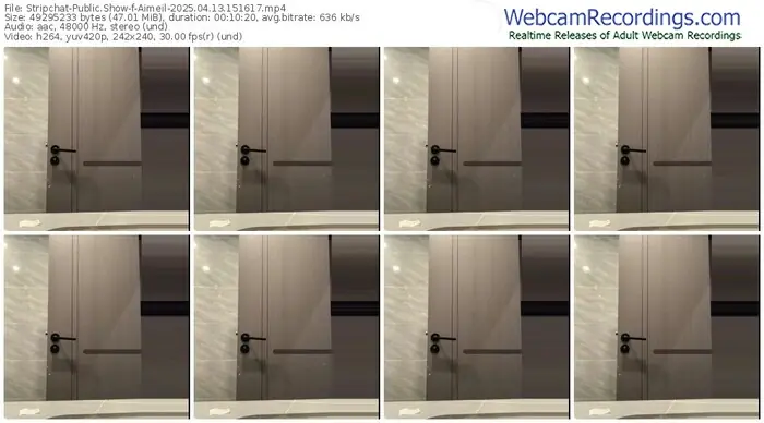 stripchat-aimeil-04-13-2025-15-16-17