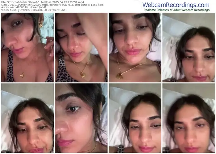 stripchat-cuteerose-04-13-2025-22-30-51