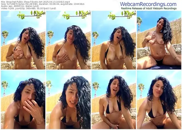 stripchat-exotic-art-04-13-2025-10-34-10