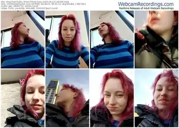 stripchat-frost_foxy-04-13-2025-14-53-56