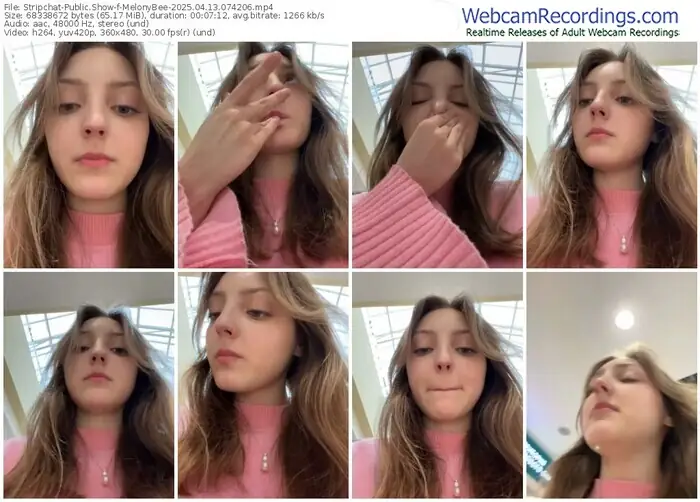 stripchat-melonybee-04-13-2025-07-42-06
