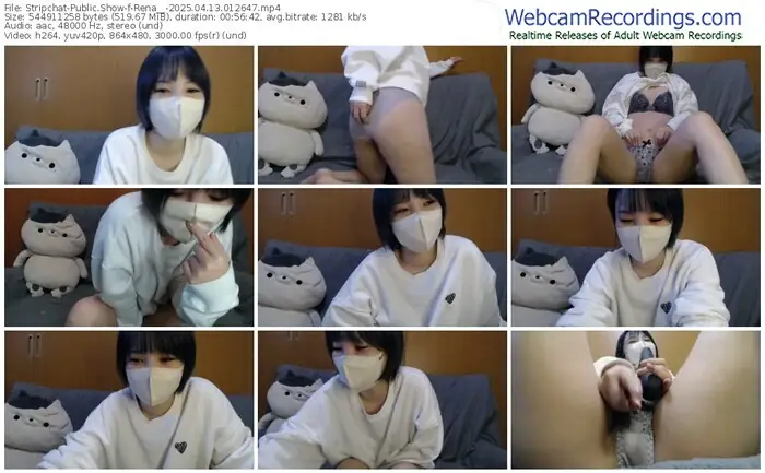 stripchat-rena__-04-13-2025-01-26-47