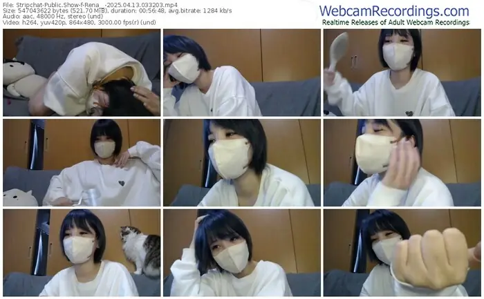 stripchat-rena__-04-13-2025-03-32-03