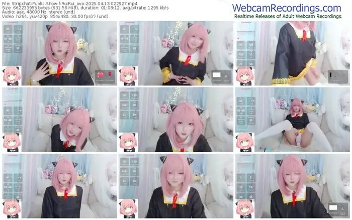 stripchat-ruirui_ovo-04-13-2025-02-29-27