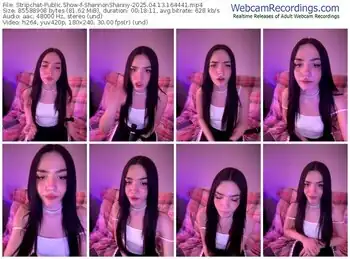 stripchat-shannonshanny-04-13-2025-16-44-41