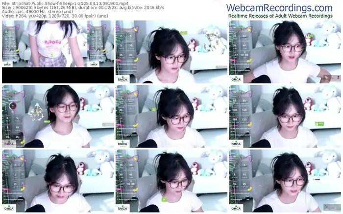 stripchat-sheep-1-04-13-2025-09-19-00