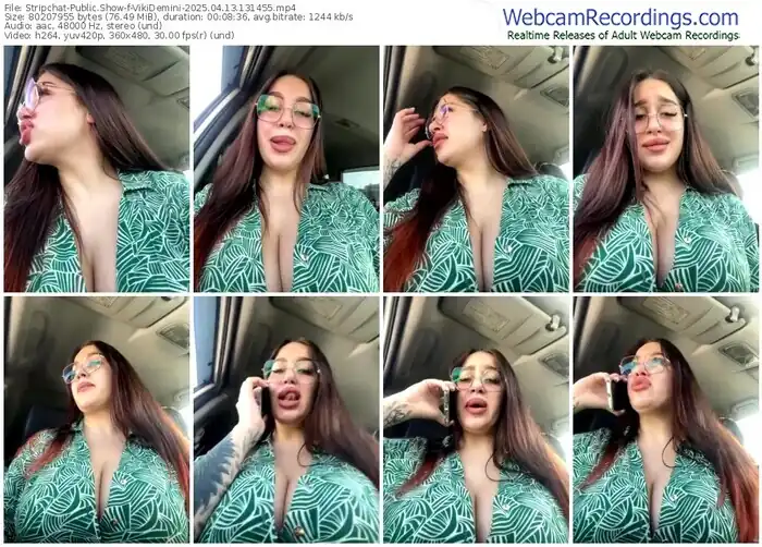 stripchat-vikidemini-04-13-2025-13-14-55