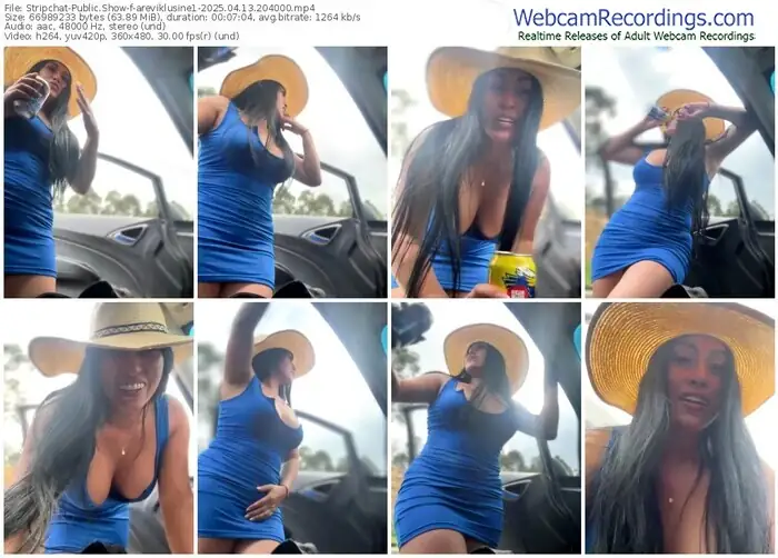 stripchat-areviklusine1-04-13-2025-20-40-00