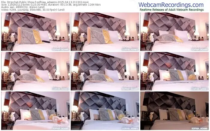 stripchat-sofhiaa_adaams-04-13-2025-21-13-02