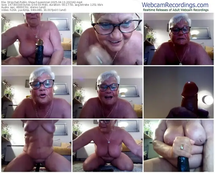 stripchat-suesinner-04-13-2025-20-23-42
