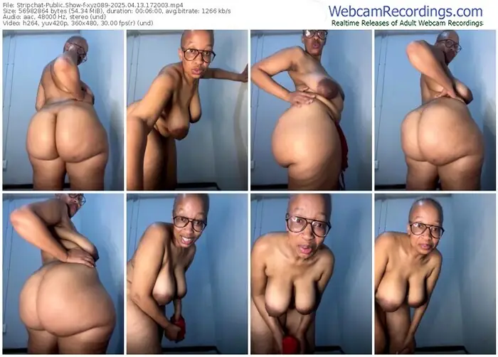 stripchat-xyz089-04-13-2025-17-20-03