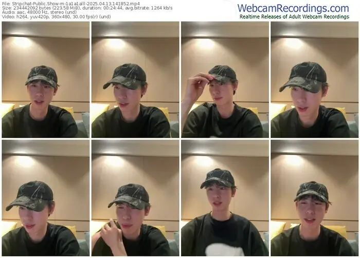 stripchat-1a1a1alll-04-13-2025-14-18-52