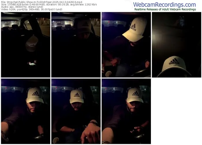 stripchat-ticklishtiger-04-13-2025-04-29-16