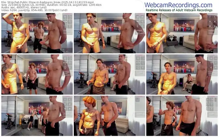 stripchat-badguyss_bisex-04-13-2025-18-12-33